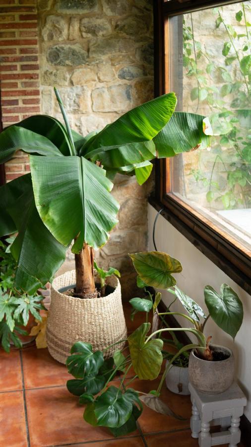 Casa 'Ohana Rioturbio Екстериор снимка